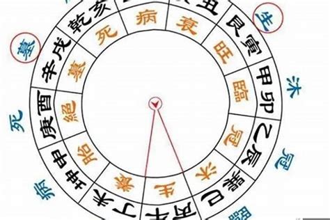 大運神煞|八字大运神煞详解 (大运神煞各代表什么意思)